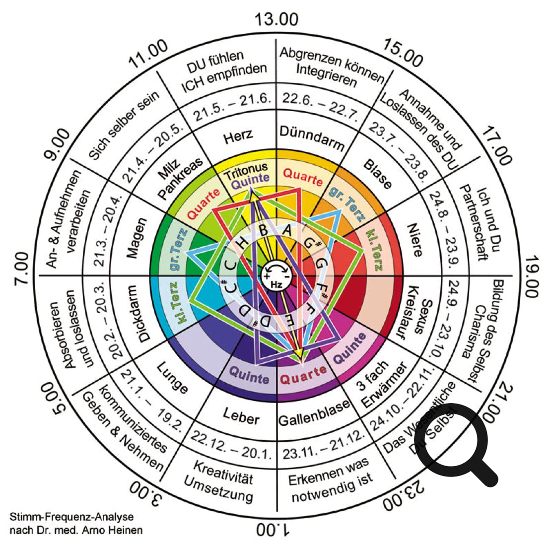 Die auf dieser Uhr beschriebenen Meridiane stehen in Bezug zu dem Grundthema des Menschen, sowie seinem Grundton bezogen auf das Geburtsdatum. Die 24-Stunden-Uhr beschreibt auch die Wandlungs- und Entwicklungsprozesse des Organismus bezüglich aller Organe und Systeme, während eines Tages. Es wird deutlich, dass die wesentlichste Grundvoraussetzung die Bildung des „Selbst/Ichs“ ist. „Sowie man alle 12 auf dem Kreis notwendigen Entscheidungen, die von jedem zu leisten sind, auch treffen und leben kann, starten die Wandlungs- und Entwicklungsprozesse in uns!“ sagt Dr. Heinen.