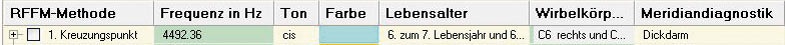 Das Ergebnis einer Stimmanalyse nach Dr. Heinen